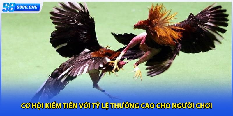 Cơ hội kiếm tiền với tỷ lệ thưởng cao cho người chơi
